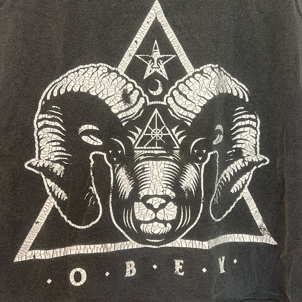 Obey Crackled Cropped Tank